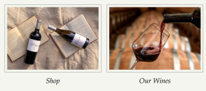 Afrikaans Wines